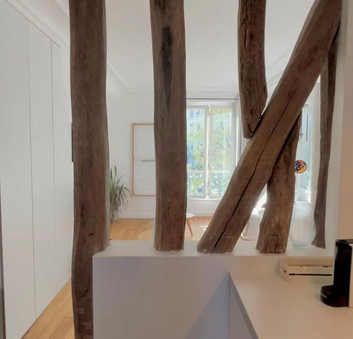 Bel Appartement Lumineux Sur La Butte Montmartre Paris
